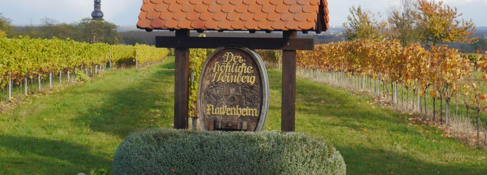 Fassboden Foto: Bardo Kraus